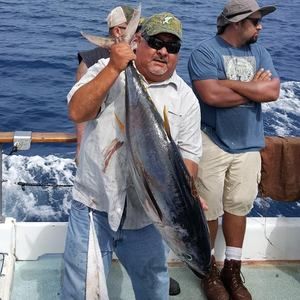 Meet your Posher, Reynaldo